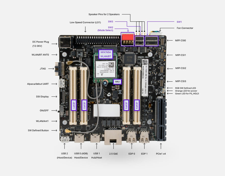 TPX00264.02.extra.jpg